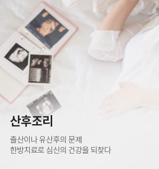 성인보약